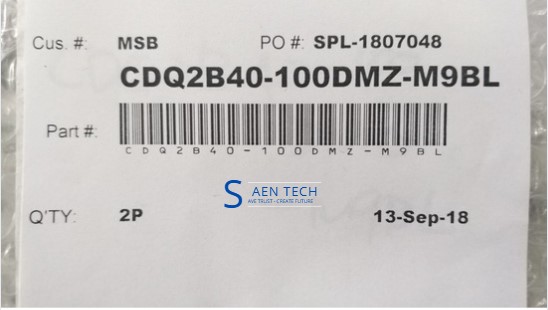 Xi lanh SMC CDQ2B40-100DMZ-M9BL
