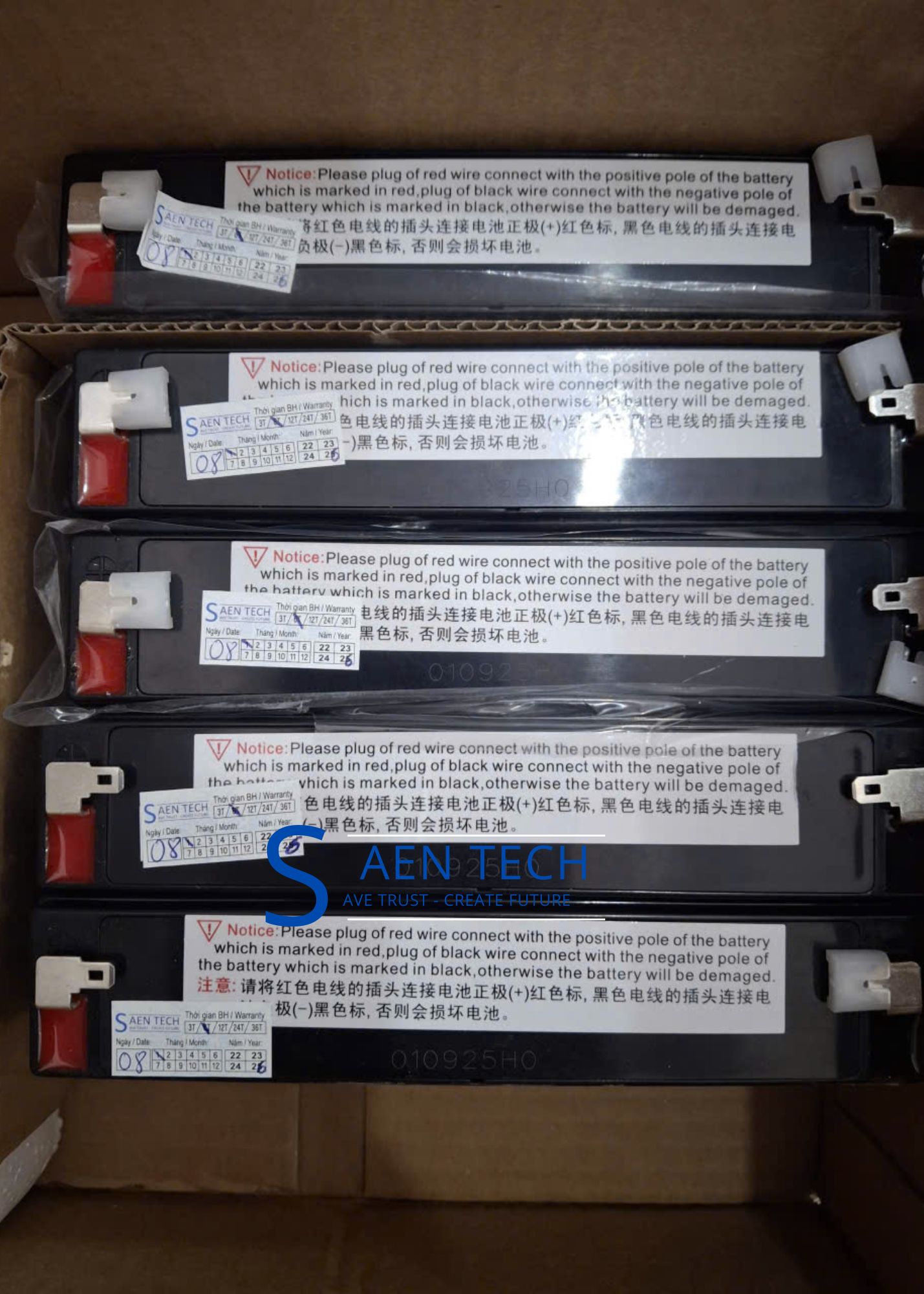 Pin cân điện tử hiệu LEOCH 6V-5AH