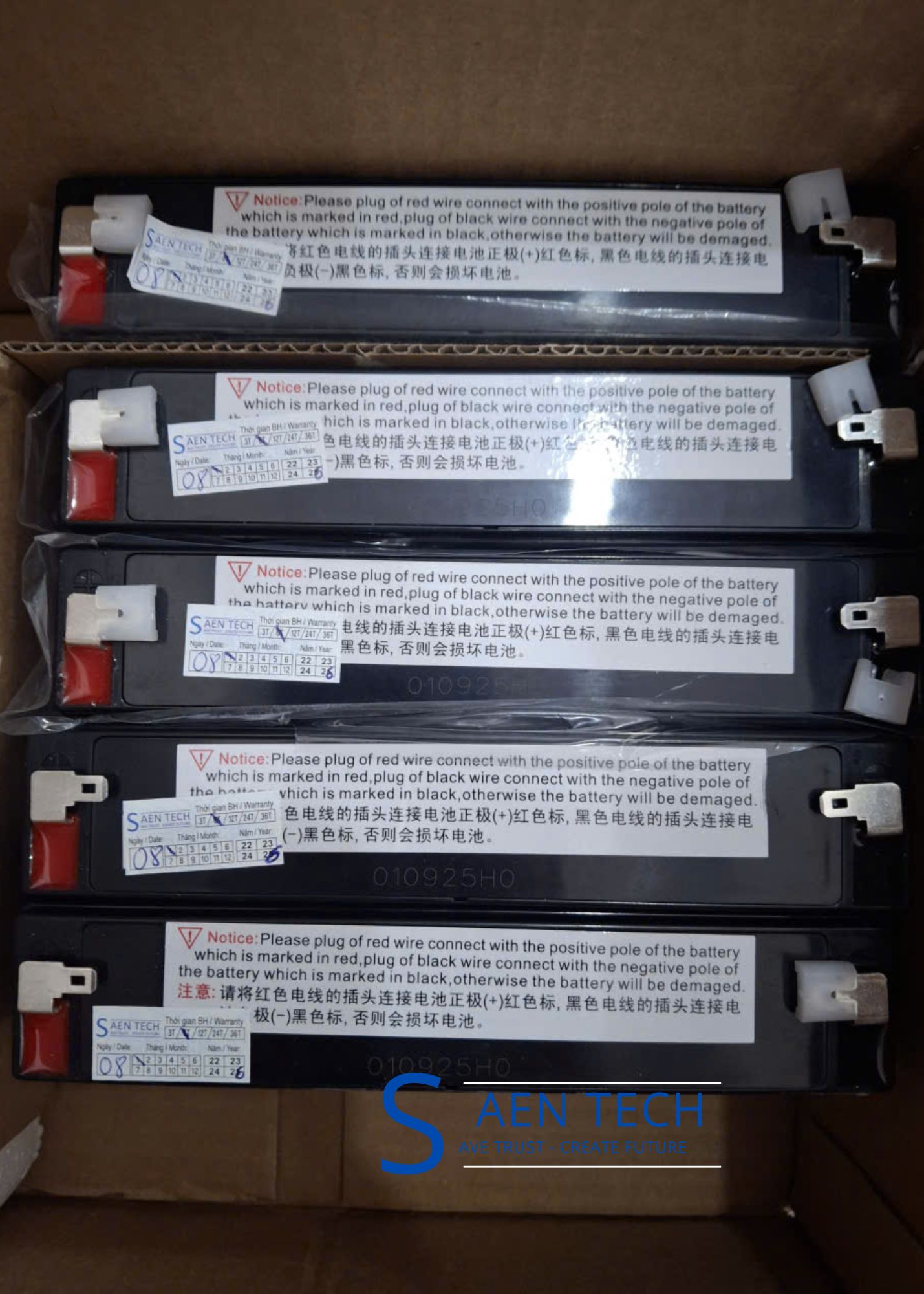 Pin cân điện tử hiệu LEOCH 6V-5AH