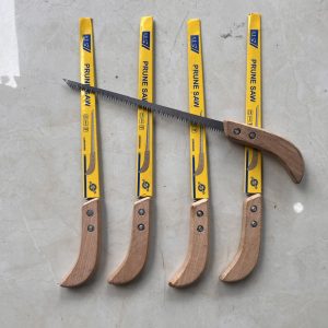 Saentech.vn | Ave Trust - Create Future